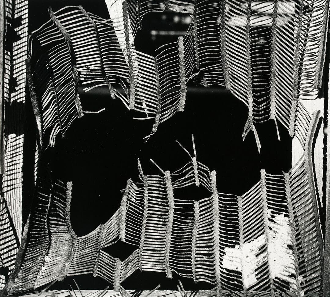 Fabric