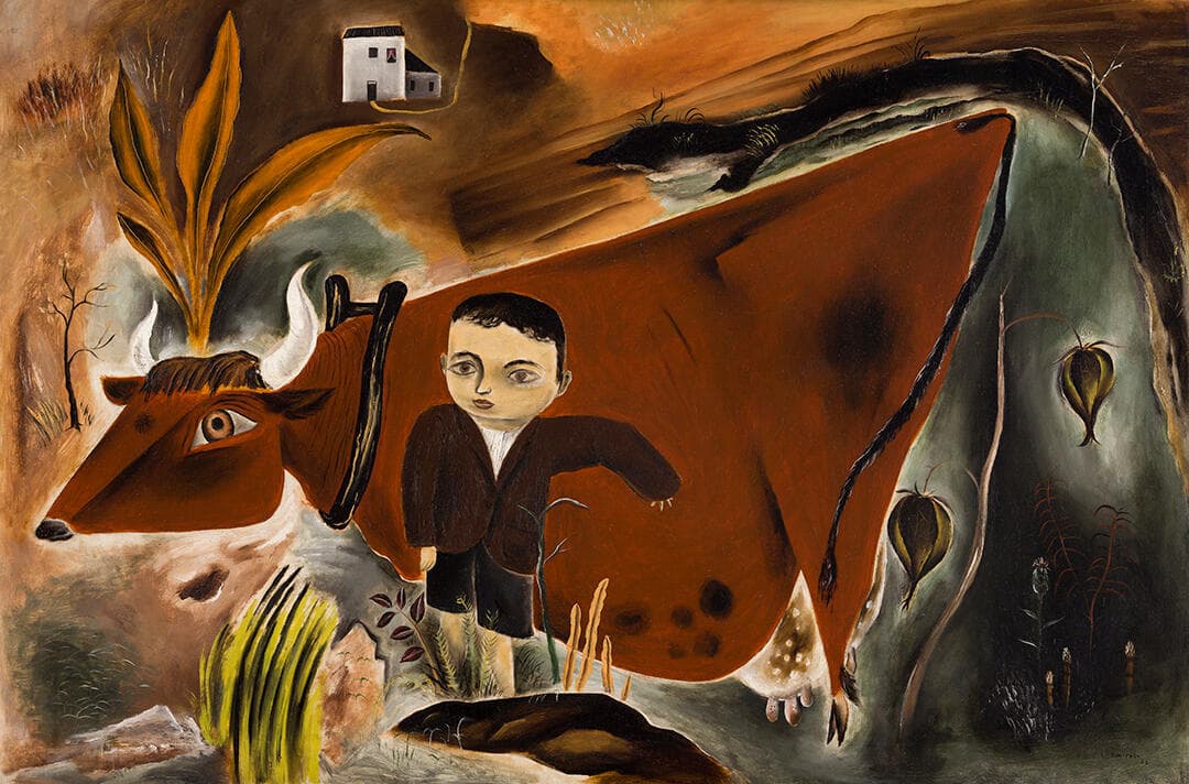 Little Joe with Cow