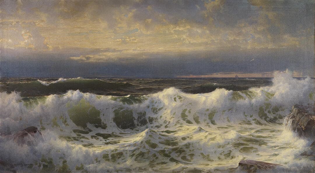 Along the Shore