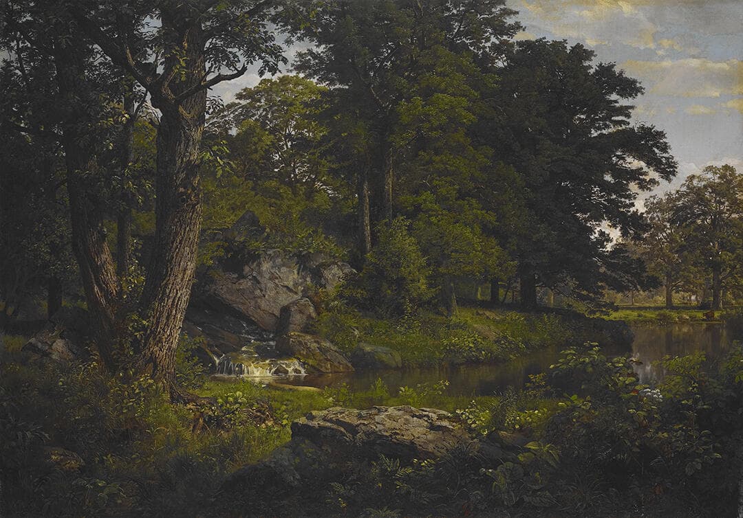 Landscape