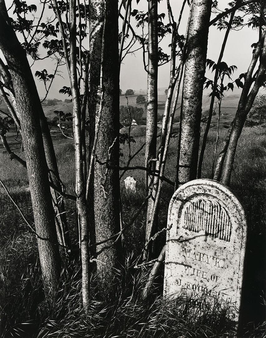 Gravestone and Trees, High Sierra
