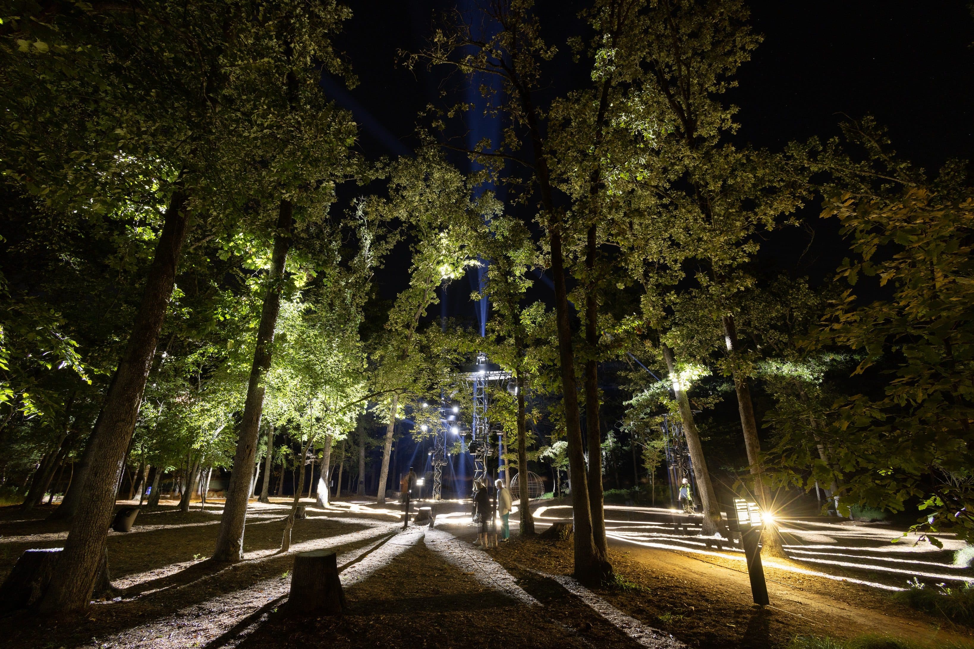 people walk around tall, bright, robotic figures in the middle of the forest at night
