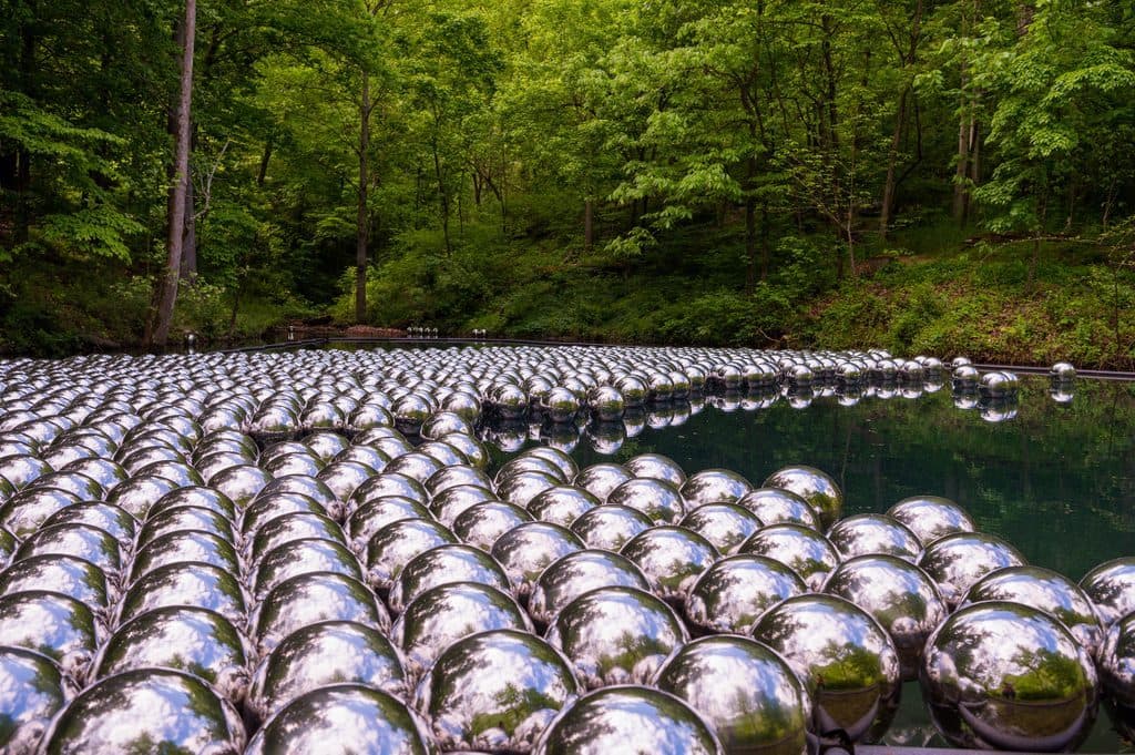Reflective Silver Spheres Floating on Forested Water Surface