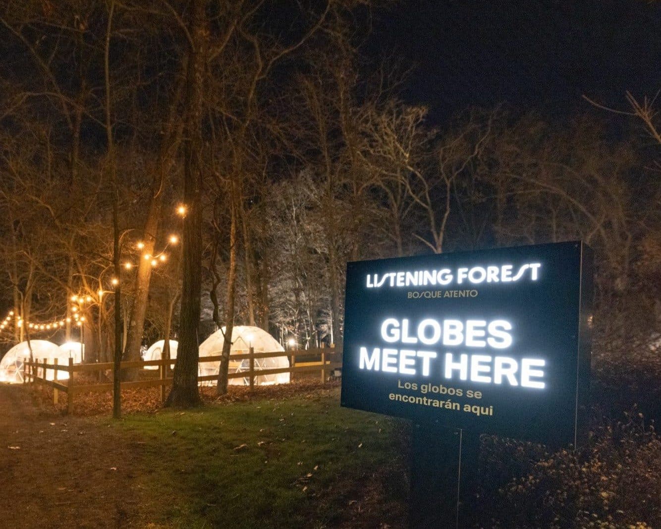 Snow Globe Rendezvous