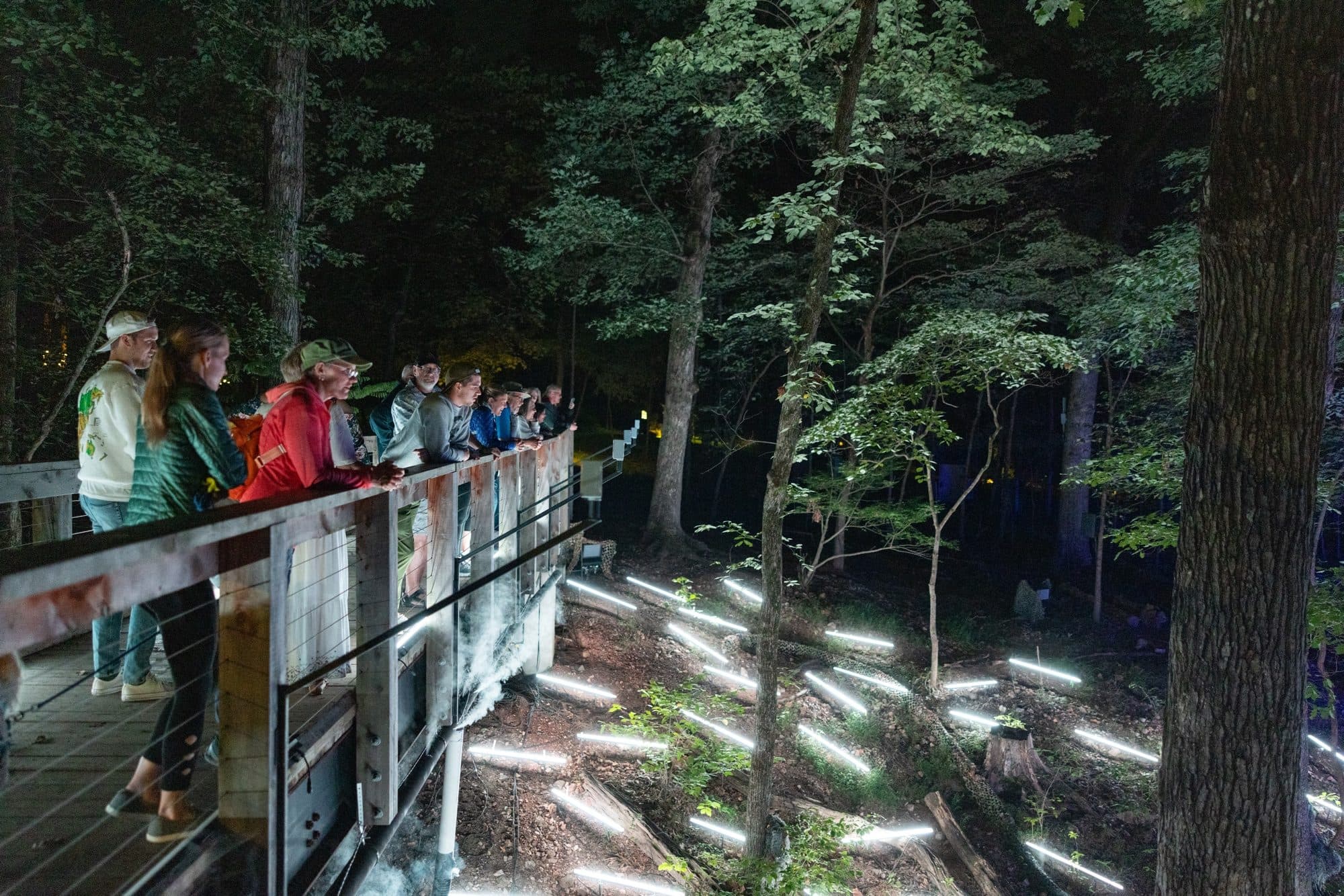 Rafael Lozano-Hemmer, Listening Forest, "Summon", 2022, Bentonville Arkansas / United States, Photo by Stephen Ironside.
