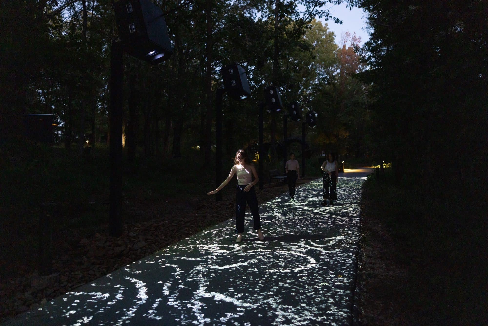 Por la noche en el bosque, un grupo de personas camina por un sendero iluminado por una proyección de letras con las que interactúa moviendo el cuerpo.