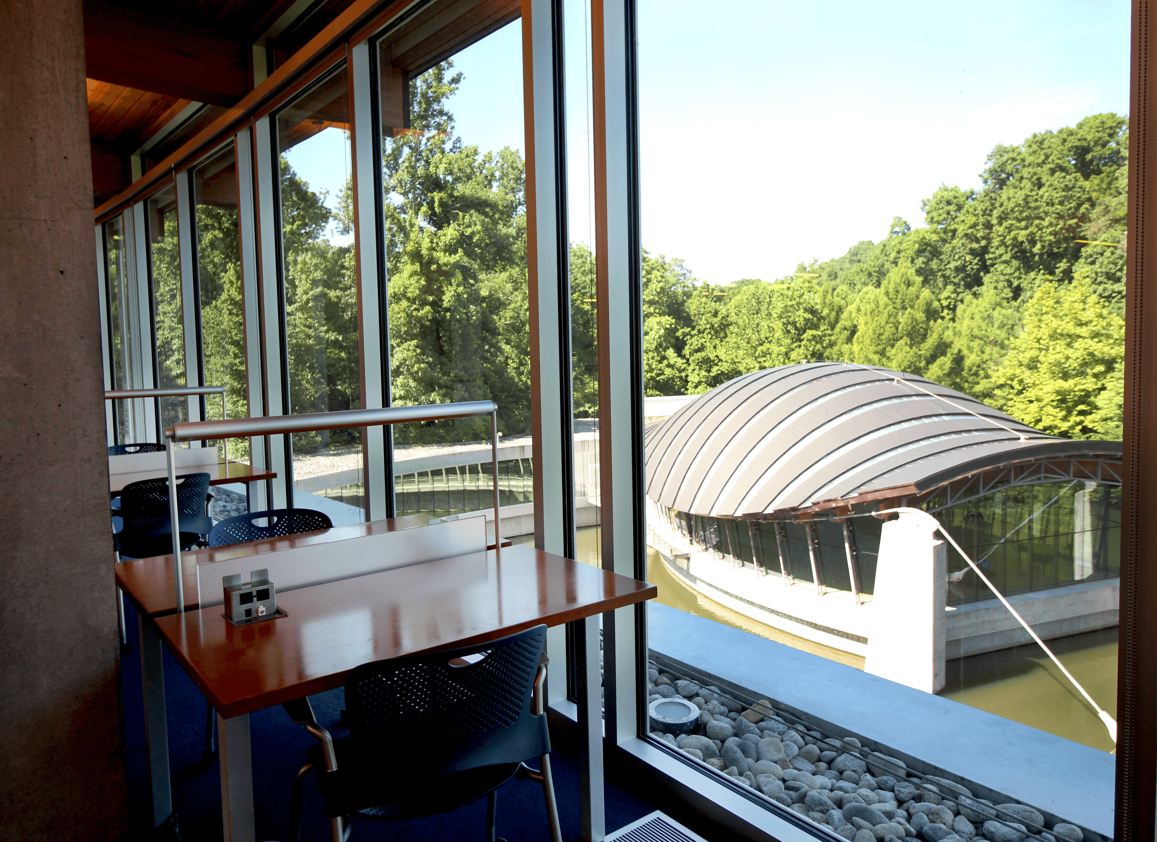 View from Libary