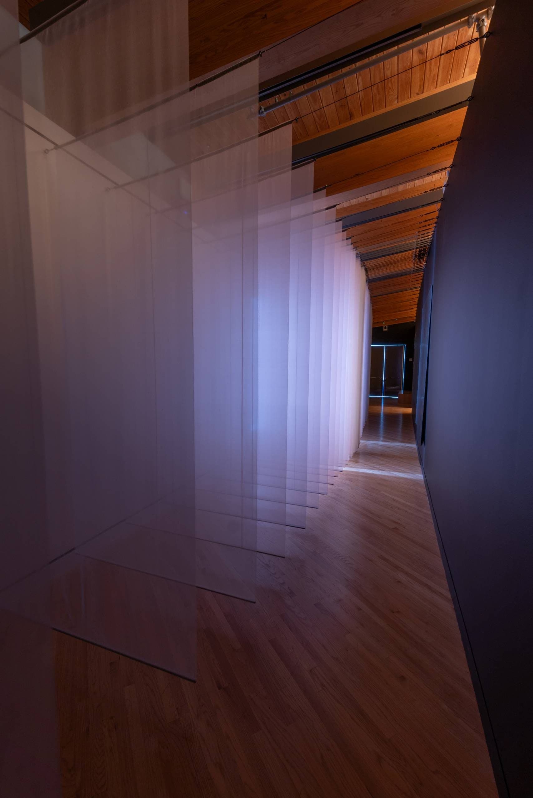 Marie Bannerot McInerney, Trace Me Back, 2023 silk organza, cotton yarn, cement, graphite, dynamic LED light and sonic element 60:00:00. Photo by Tom McFetridge.